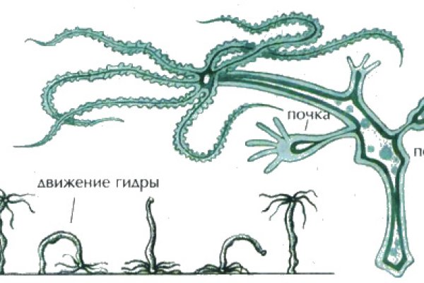 Адрес крамп в тор онион kraken6.at kraken7.at kraken8.at